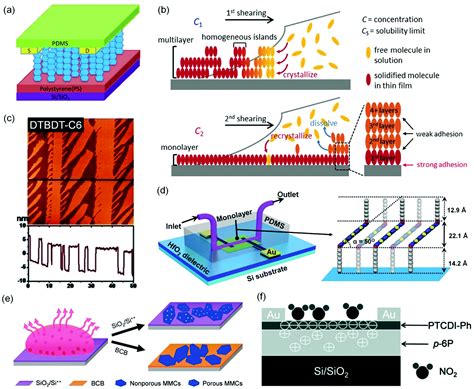 Structured And Functionalized Organic Semiconductors For Chemical And