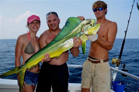 trolling fishing Orange Beach