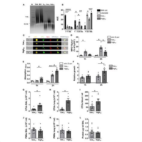 Increased nuclease activity confers a growth advantage in vitro and in ... 