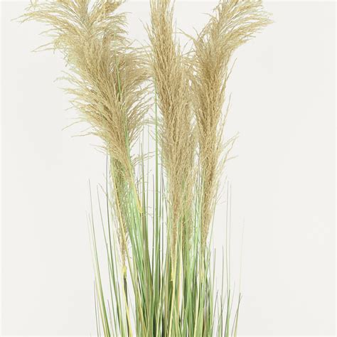 Herbes De La Pampa Artificielles Cm