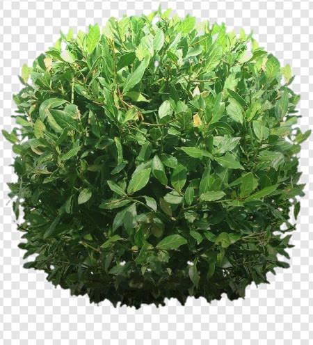 Fortnite Bush PNG Transparent Images