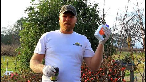 Dormant Spraying On Deciduous Fruit Trees Youtube