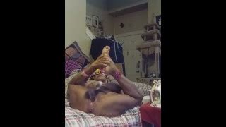 Creole Couger S Porn Videos Pornhub