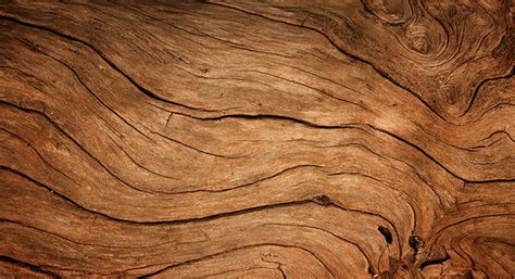 Things you Should Know about Wood
