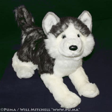 Douglas Cuddle Toys Nadia Husky Plush By Dapumakat On Deviantart