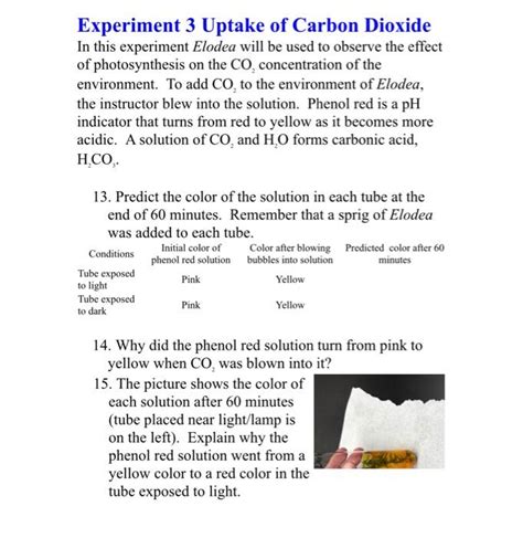 Solved Experiment 3 Uptake of Carbon Dioxide In this | Chegg.com