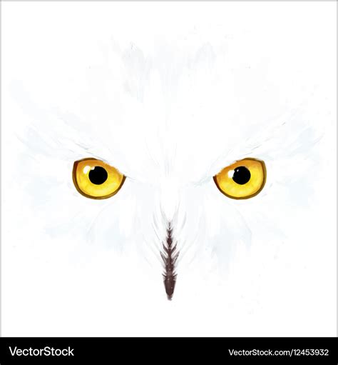 Snowy owl eyes and face Royalty Free Vector Image