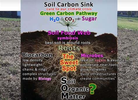 RACC Virtual Seminar Series Recording: Soil Carbon Sink Demonstration ...