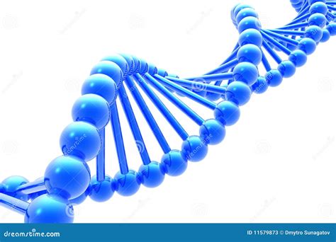 Dna Spiral Stock Illustration Illustration Of Helix