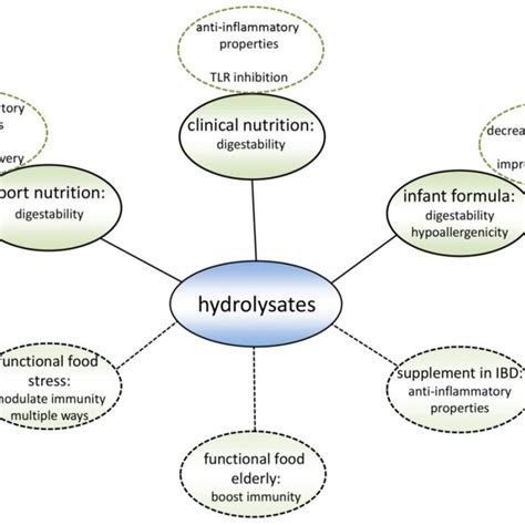 The process of protein hydrolysis and its products. (A) chemical... | Download Scientific Diagram