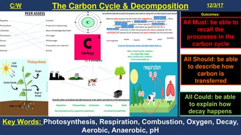 The Carbon Cycle & Decomposition | AQA B2 4.7 | New Spec 9-1 (2018 ...