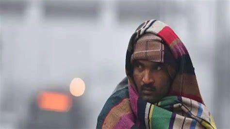 West Bengal Weather Update Cold Wave Forecast For Upcoming Winter Check Out Details এক ধাক্কায়