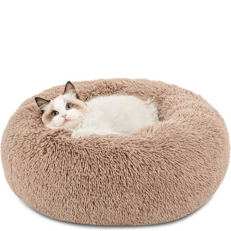 The Purr Fect Cat Bed Our Top 5 Picks For The Coziest Cat Naps