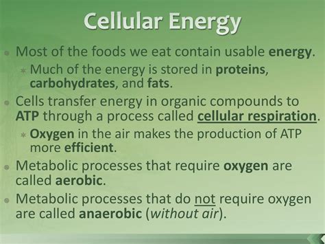 Photosynthesis And Cellular Respiration Ppt Download