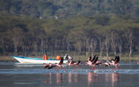 boat ride experience jionee africa