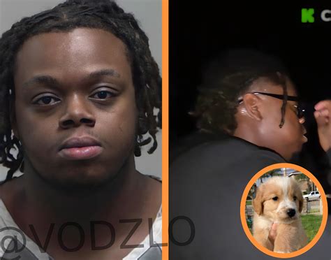 Vodz - #streamer "Cuffem" is being accused of causing a dog’s death