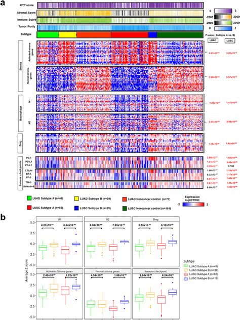 The Impact Of Micro Environment And Immune Checkpoint Expression On