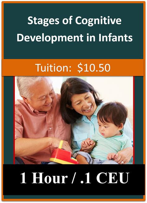 Stages Of Cognitive Development In Infants