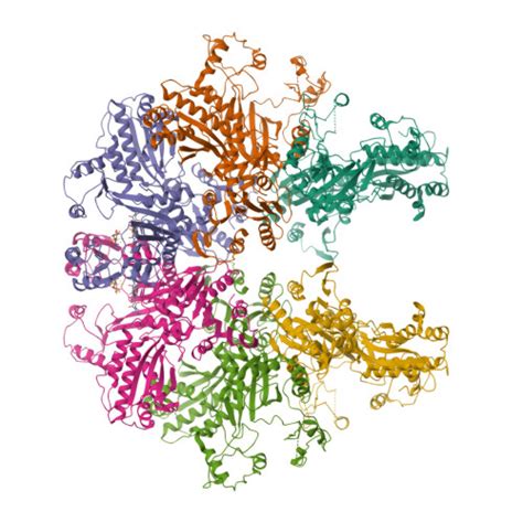 Rcsb Pdb Fxi Cryo Em Structure Of Stanieria Sp Cpha In Complex