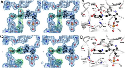 Structural basis for substrate activation and regulation by ... 