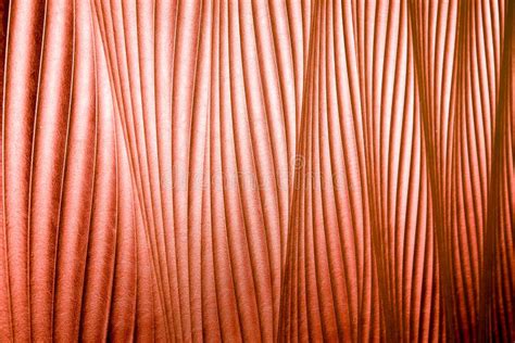 Copper Colored Leather Texture Or Background Stock Image Image Of