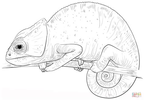 Chameleon Line Drawing At PaintingValley Explore Collection Of