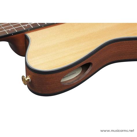 Ibanez FRH10N Natural soundhole | Music Arms