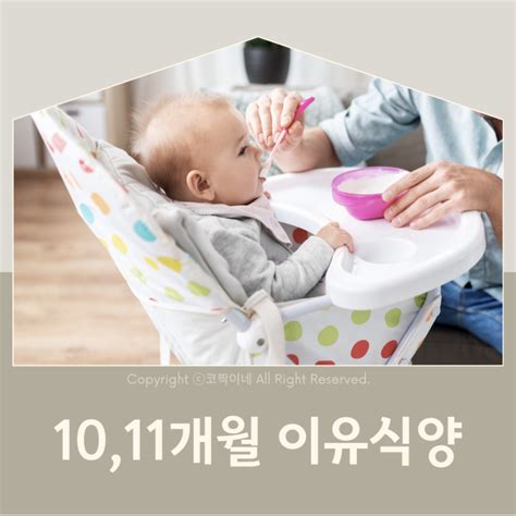 10개월 11개월아기 이유식양 분유량 이유식거부 완료기 유아식 시작 네이버 블로그