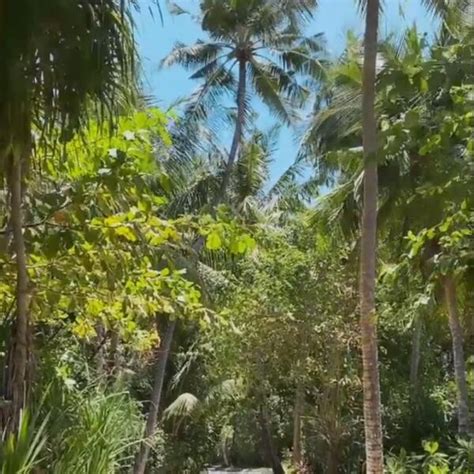 CRNI BIKINI RAJSKO UŽIVANJE Anastasija Ražnatović hipnotisala fotografijama sa Maldiva