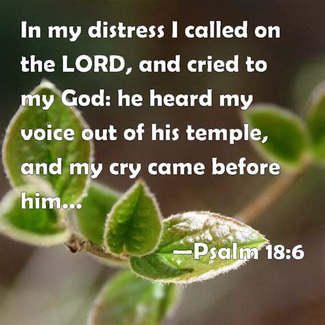 Psalm 18 6 In My Distress I Called On The LORD And Cried To My God He