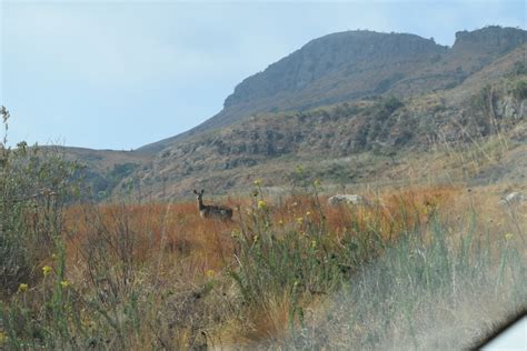 Road Tripping In The Drakensberg Tracks4africa Blog