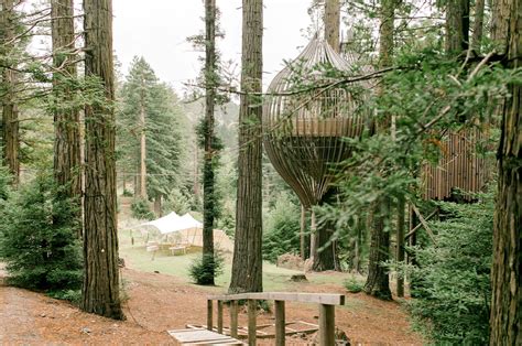 A striking, memorable & exclusive venue - Redwoods Treehouse