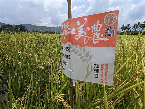 「高雄農來訊」提供農民免費智慧服務 農友可提出痛點需求 高屏離島 地方 聯合新聞網