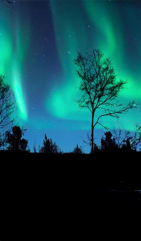 Aurora Borealis on Clear, Night Sky · Free Stock Photo