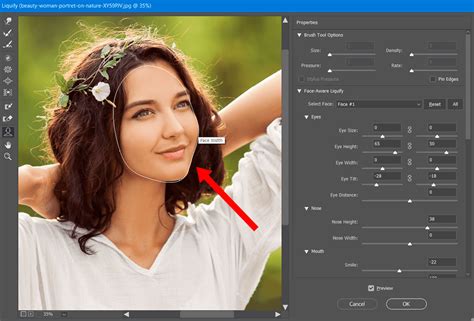 How To Use Liquify Tool In Photoshop For Beginners