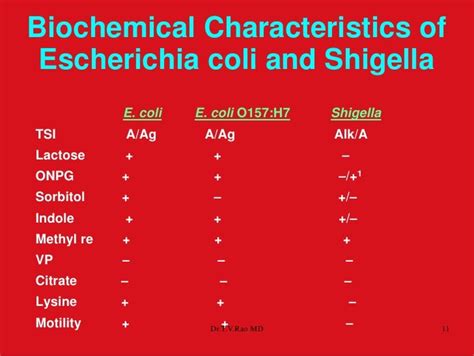 Biochemical Testsv In Enterobacteriaceae