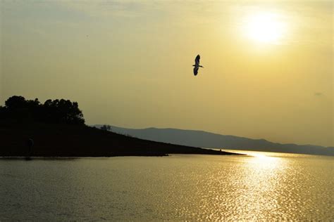 Hirakud Dam - Guide To World's Longest Dam in Sambhal (Odisha)