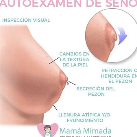 Opciones naturales para tratar la inflamación uterina tu guía completa