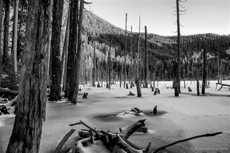 Snow Covered Coplay Lake Pierce County Washington 2009 Pacific