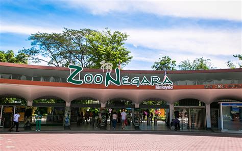 Zoo Negara Admission Ticket | Exclusive Deals