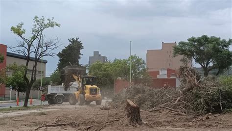 Retiran los árboles caídos en la Plaza Brown La Brújula 24