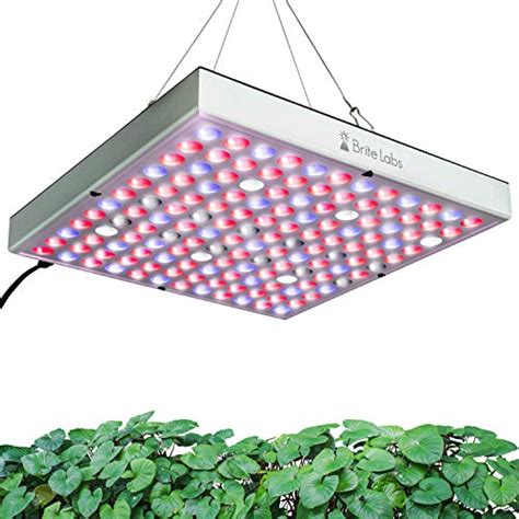 Meilleur Panneau Led Horticole Avis Et Comparatif