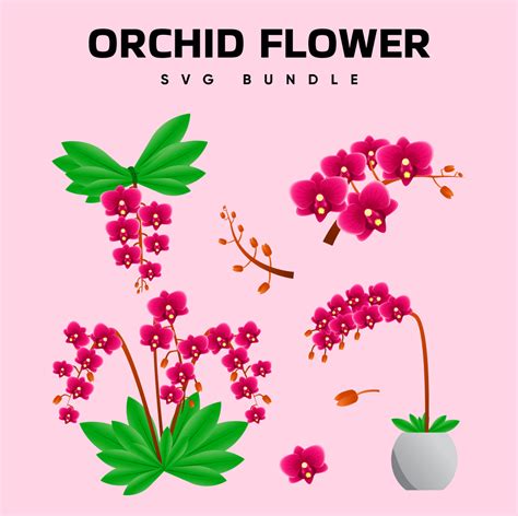 Outline Orchid SVG Designs – MasterBundles