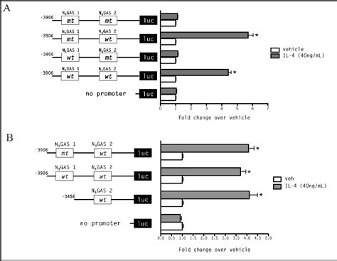 Figure 3 From The Human Pendrin Promoter Contains Two N4 Gas Motifs