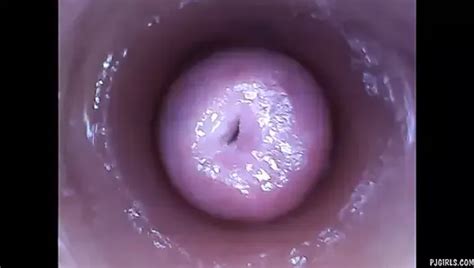 Free Inside Pussy Porn Videos Xhamster