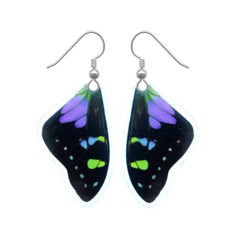 REAL Butterfly Wing Earrings Graphium Weiskei Top Wing