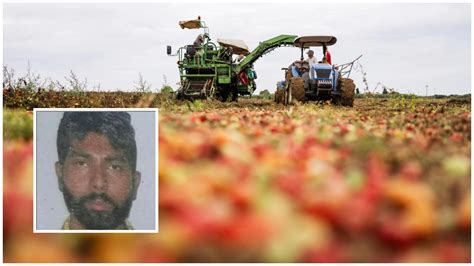 Satnam Singh Chi Era Il Lavoratore Agricolo Morto A Latina Con Un