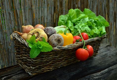 vegetables vegetable basket  photo  pixabay