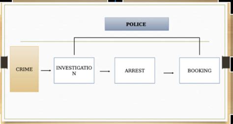 Criminal Justice Exam 1 Flashcards Quizlet