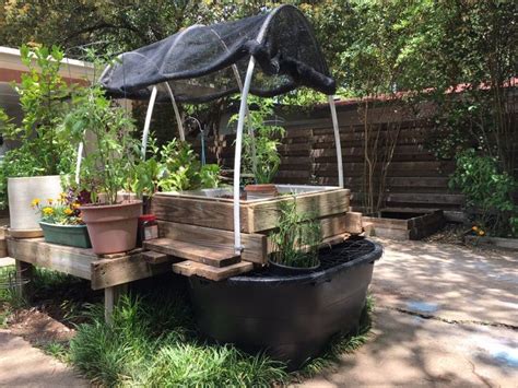 Backyard Aquaponics Garden Austin | Backyard aquaponics, Aquaponic ...